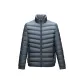 Blue Gray 02