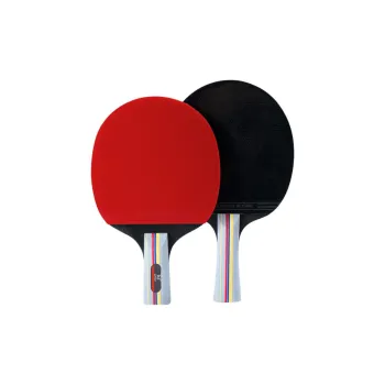 361° Ping Pong Paddles