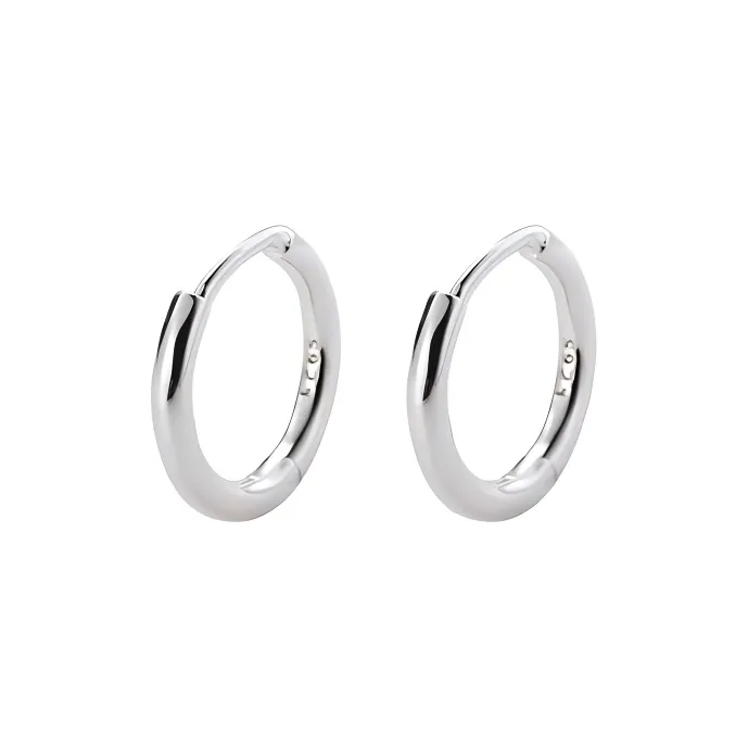 ZSY S925 Silver Earrings Women's Box-6