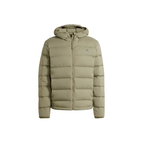 Adidas Helionic Stretch Hooded Down Jacket Down Jacket Men's Olive Green