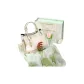 Bag+Silk Scarf+Massage Comb+Bouquet+Box