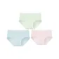 Light Blue-Light Purple-Light Green (3 Pack)