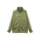 Light Green White Stripes