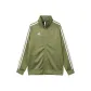 Light Green White Stripes
