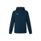Collegiate Blue