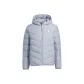 Silver Gray