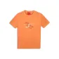 Dark Apricot