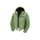 Fruit Green