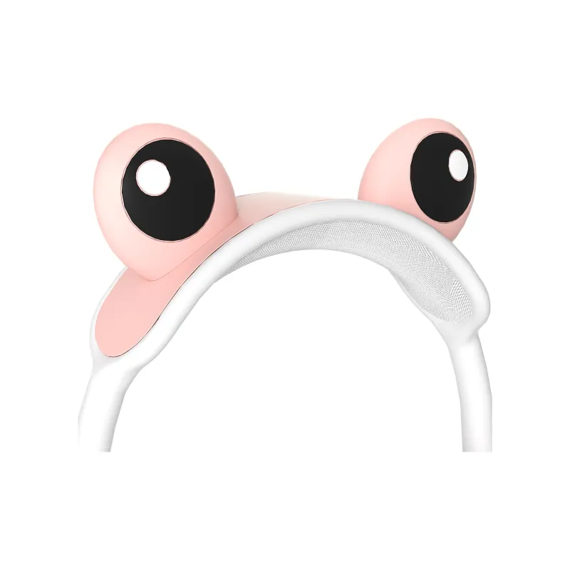 IXN Headphone Cases-4