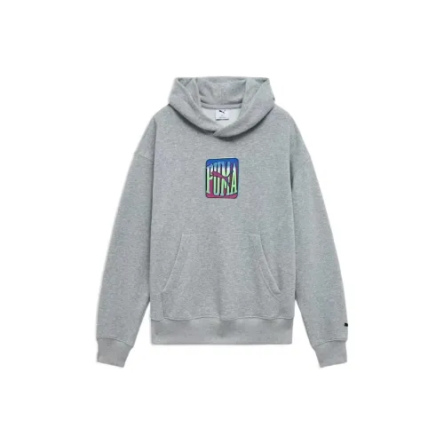PUMA Essentialhoodie U Sports Sweatshirt Men's Gray