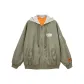 Gray Green-E62