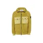 Ginger Yellow