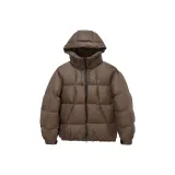 BROWN/Chestnut Brown