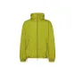 Yellow Green