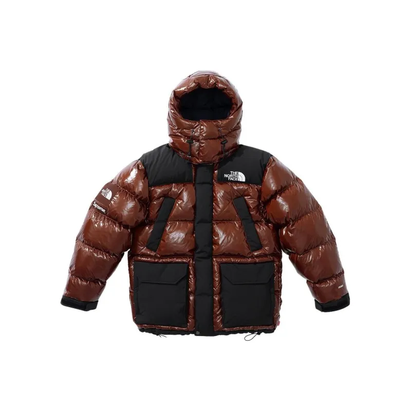 Supreme The North Face 700 Fill Down Parka-0