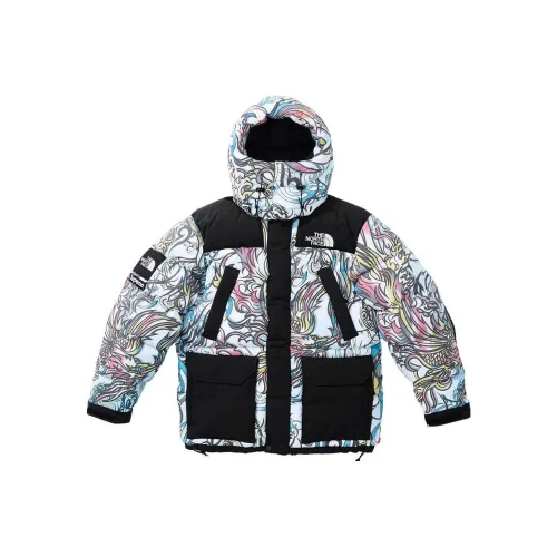 Supreme The North Face 700 Fill Down Parka