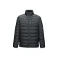 Blue Gray 10