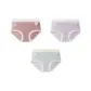 3 Pack (Maroon+Purple+Blue)