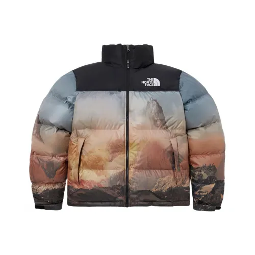 THE NORTH FACE 1996 Collection FW23 Down Jacket Unisex All Over Print