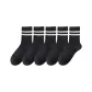 Dark Heather Gray 5 Pack
