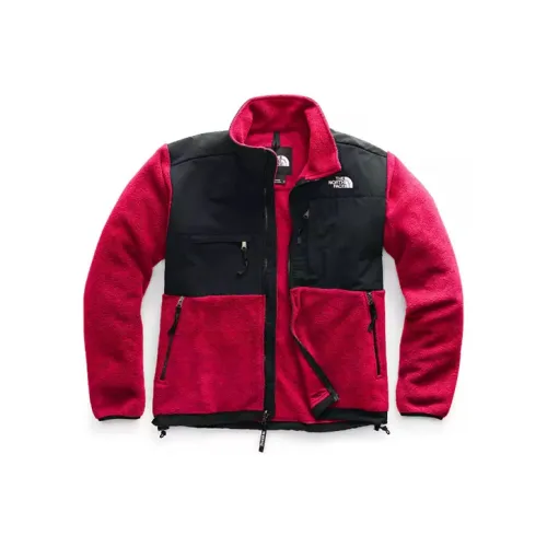THE NORTH FACE Men's Big Retro Denali Jacket