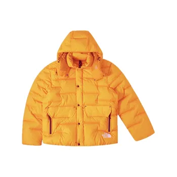 THE NORTH FACE Sierra Rmst Hooded Parka