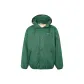 Fir Green
