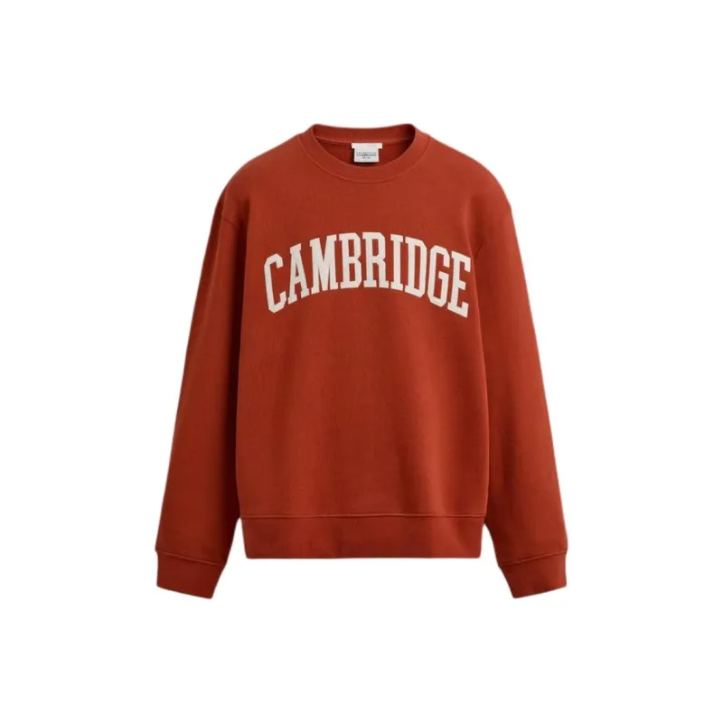 ZARA Sweatshirts Men Clay-0