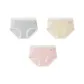 3 Pack (Blue+Grass Green+Pink)