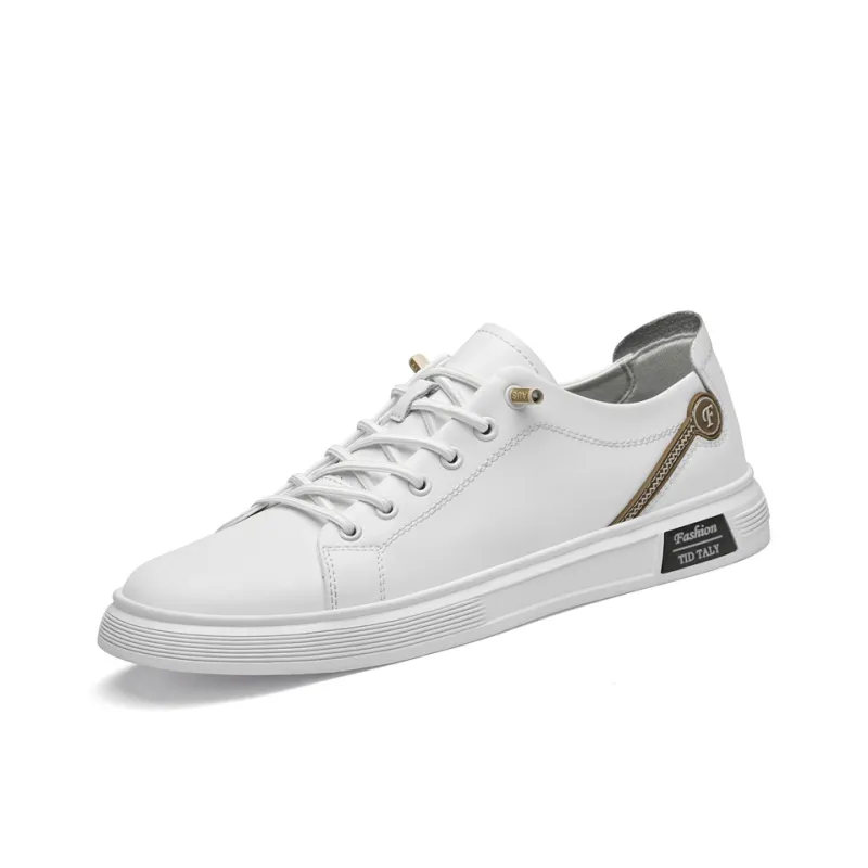 Eminu Balance Low Top Skateboard Shoes Men's-1
