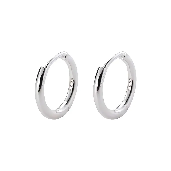 ZSY S925 Silver Earrings Women's Box-3