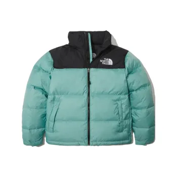 THE NORTH FACE 1996 Collection Down Jacket Winter Men's Mint