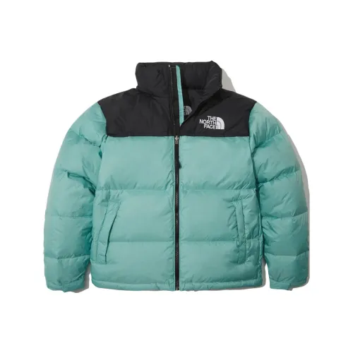 THE NORTH FACE 1996 Collection Down Jacket Winter Men's Mint