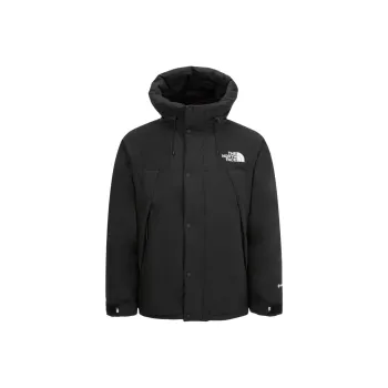 THE NORTH FACE Gtx Mountain Jacket