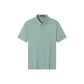 Gray Green