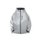 Silver Snow Gray