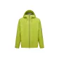 Olive Yellow