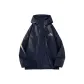 Blue (Spring Fall)