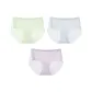 3 Pack (F Set: Mint Green+Powder Blue+Elegant Purple)