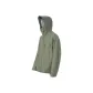 Gray Green