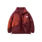Maroon (Logo Style)