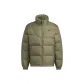 Strata Olive Green