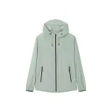 Light Gray Green