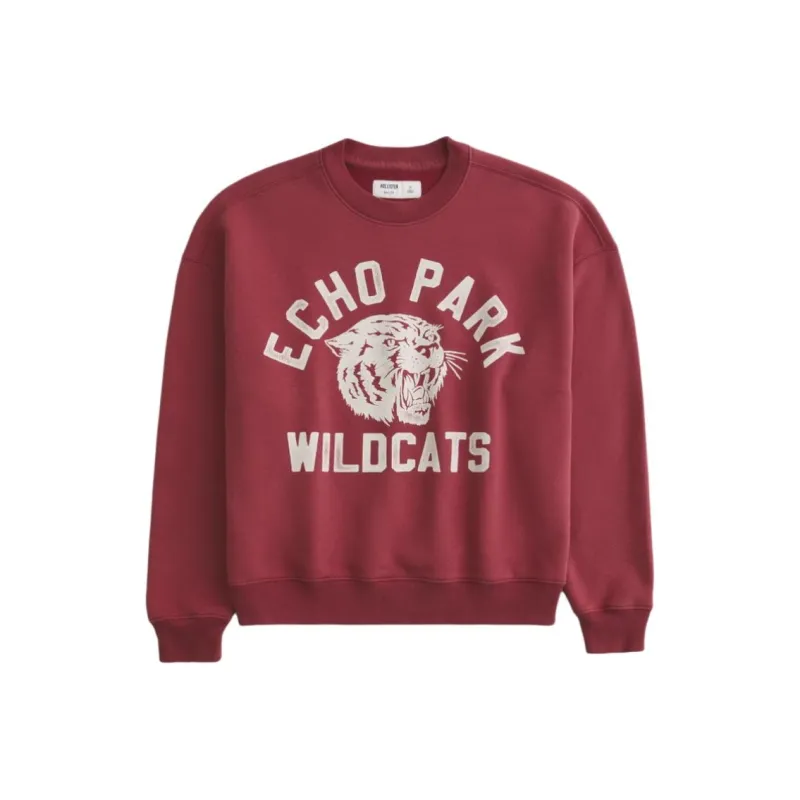 Hollister Sweatshirt Men's Burgundy-0