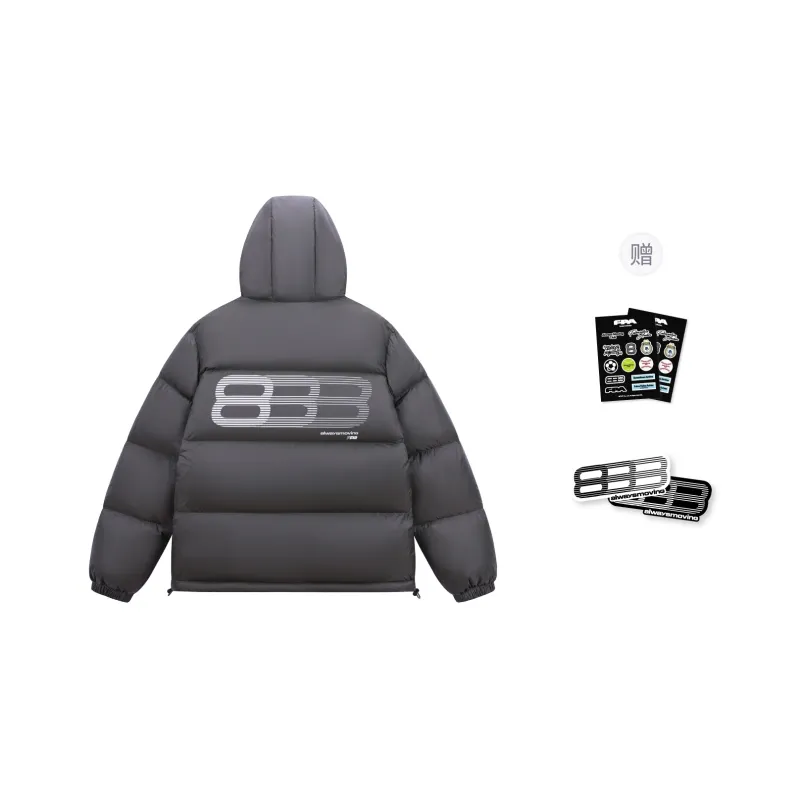 FPA ALWAYS MOVING Series Down Jackets Unisex-2