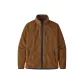 Brown Bear Brown