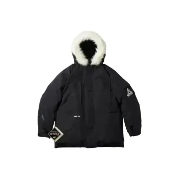 PALACE Gore Tex Down Parka