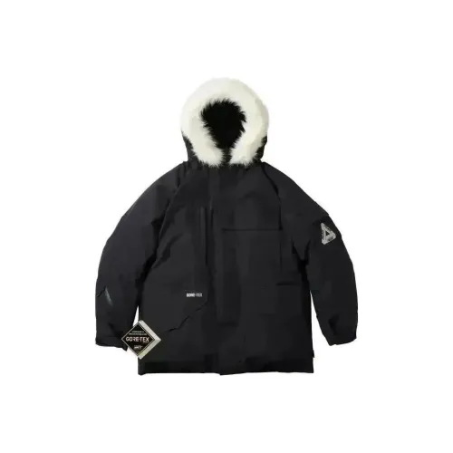 PALACE Gore Tex Down Parka