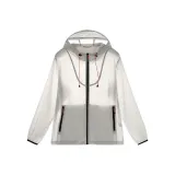 Light Silver Gray