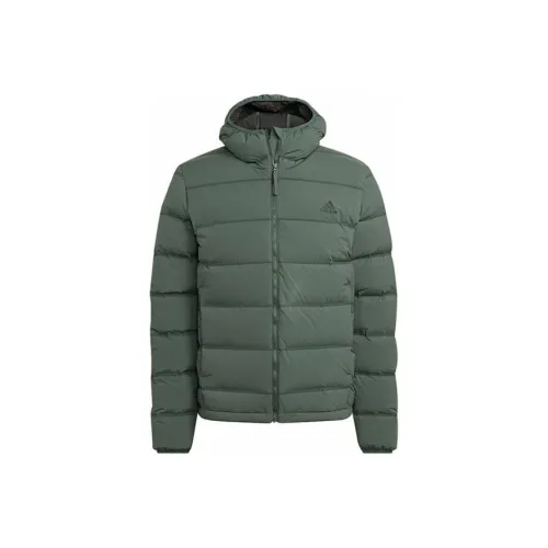 Adidas Down Jacket Men's Oxidized Green